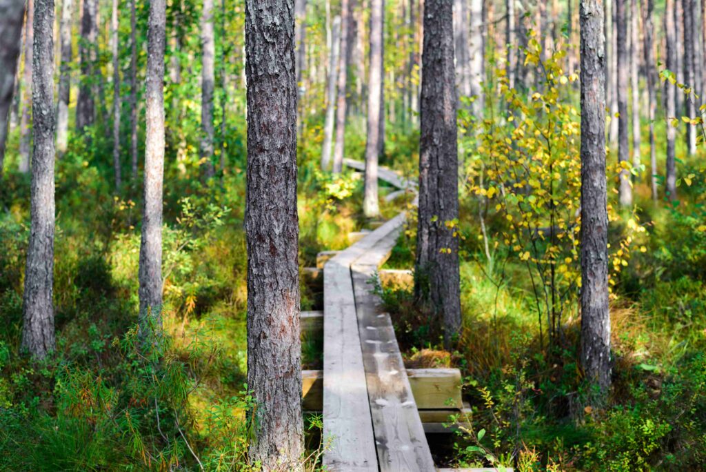lõuna eesti vaatamisväärsused